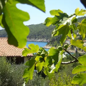 Ida Sveta Marina Apartment